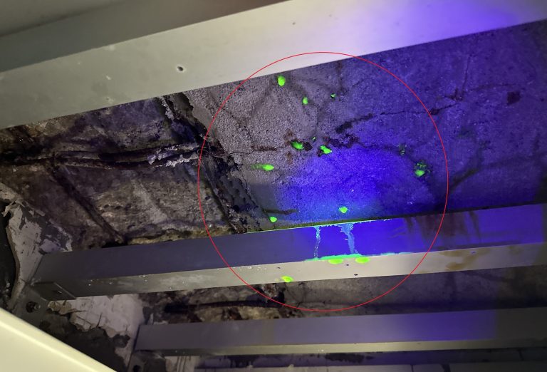 Comprehensive Leak Testing Services for a Comfortable Home