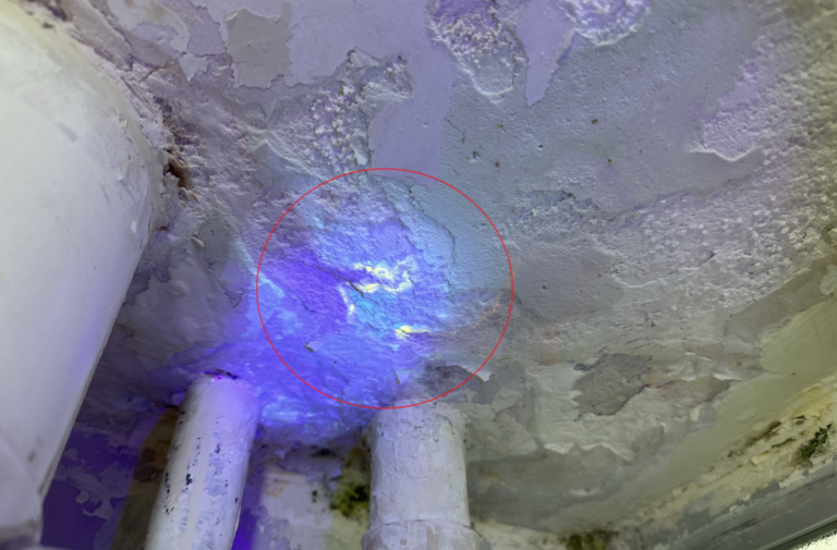 The Critical Role of Professional Equipment in Dye Water Tests