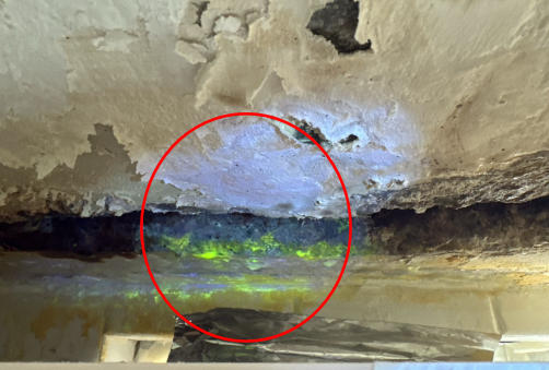 Expert Team for Leak Testing