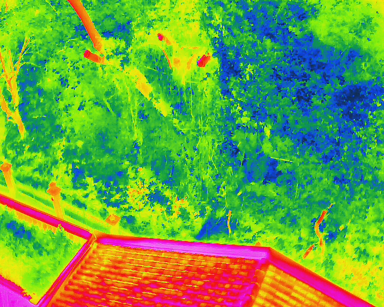 drone survey inspection in Hong Kong building